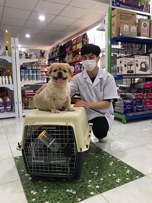 Phòng khám thú y Sài Gòn (Saigon Veterinary Clinic)