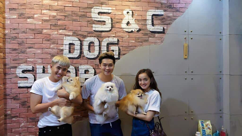 Bin Bon Dog Shop nổi tiếng là nơi bán chó cảnh uy tín tại TP HCM