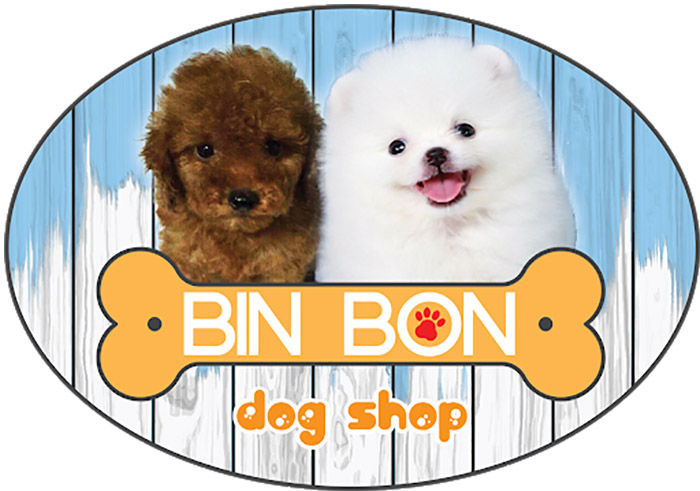 Bin Bon Dog là cửa hàng mua chó cảnh giá rẻ TPHCM với 2 dòng pet cưng chính là chó Poodle, chó Phốc sóc có xuất xứ từ Thái Lan
