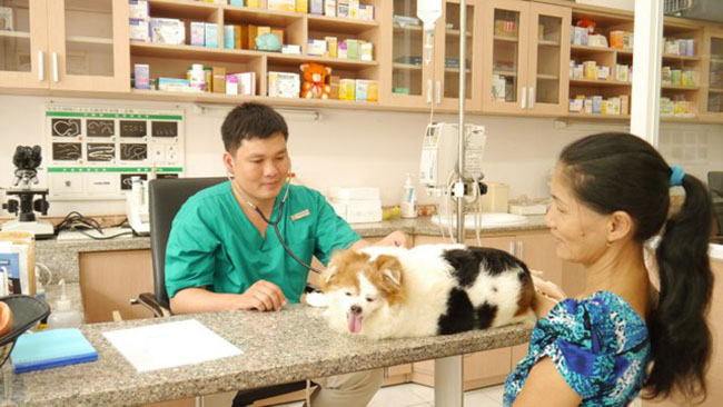Bệnh viện và spa thú cưng New Pet