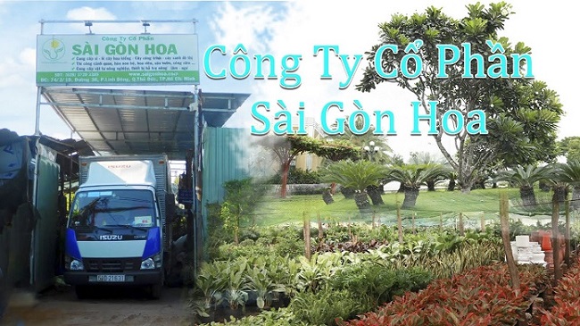 Cửa hàng vật tư nông nghiệp Sài Gòn Hoa