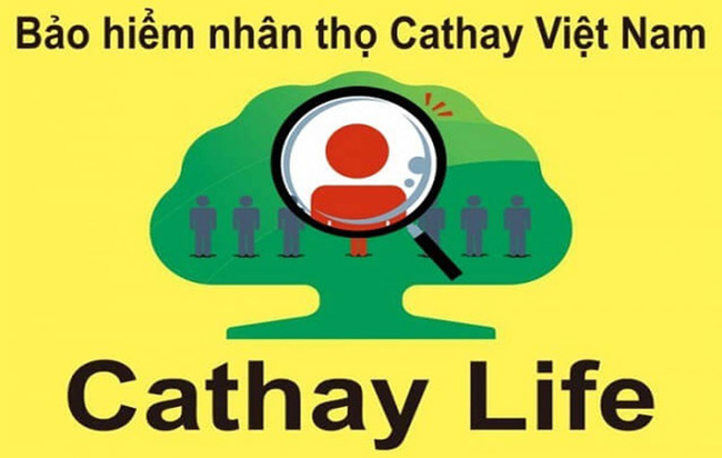 Công Ty TNHH Bảo Hiểm Phi Nhân Thọ Cathay Việt Nam