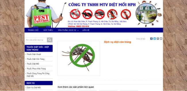 Công ty diệt mối Đà Nẵng | Nguồn: Diệt côn trùng HPH
