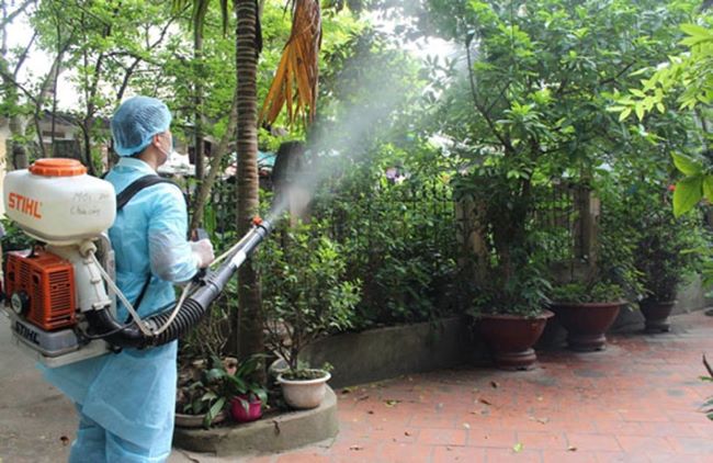 Dịch vụ diệt muỗi tại Đà Nẵng Thăng Long