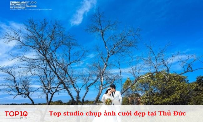 Trinh Lam Studio