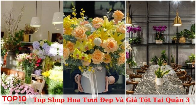 Top 15 shop hoa tươi Quận 3-TPHCM đẹp và giá rẻ
