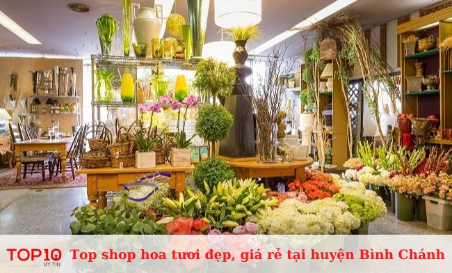 Thanh Thảo Flower Shop