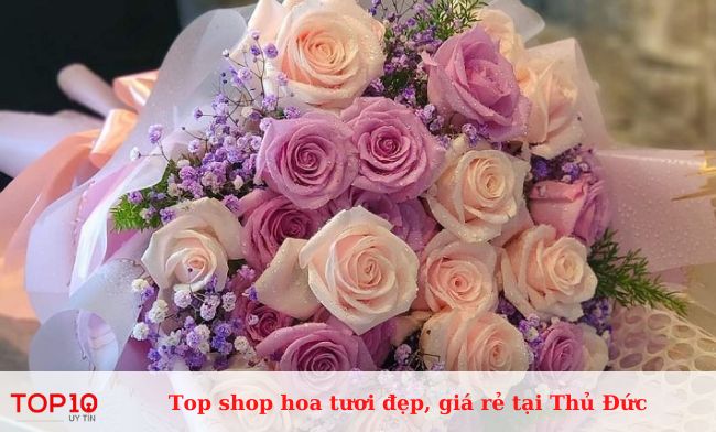 Shop hoa tươi Ti Ta