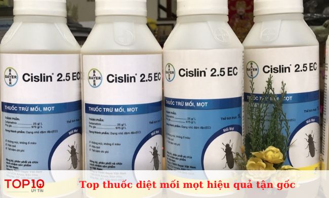 Thuốc diệt mối mọt Cislin 2.5 Ec